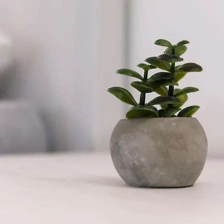 Deluxe Dreams & * Šabac